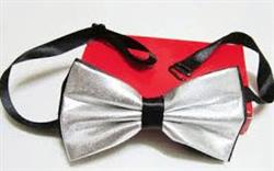 عرضه بهترین پاپیون های مردانه