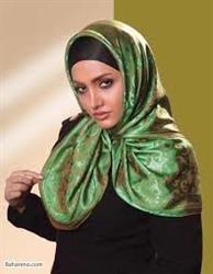 d021331e4d6e3a130f7455039824a240