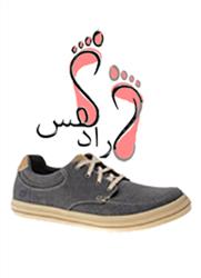 d029314da9c1f7af92c442030a268424