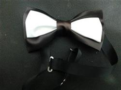 عرضه مجلسی ترین پاپیون های مردانه