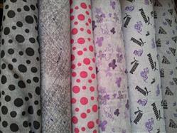 d41fe1951fd8e543316e5afbd59bc2a6