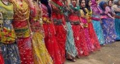 نمایندگی فروش پارچه کردی حریر