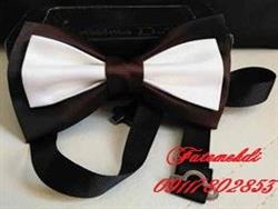 انواع پاپیون مردانه با قیمت مناسب