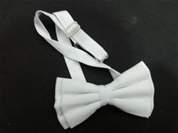 فروش پاپیون های فوق العاده زیبا