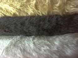 eaf058f1902a418fad3b0e2b8031854e