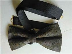 فروش پاپیون مدل بته جقه ای