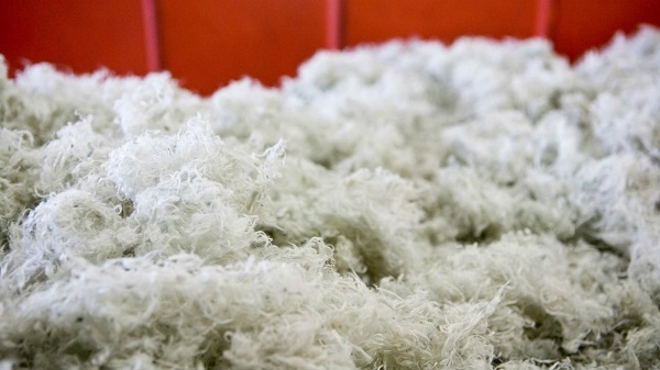 نخ پلی استر