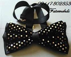 فروش زیباترین پاپیون مخمل به قیمت عمده