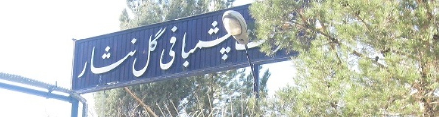 پارچه فاستونی عالیجناب